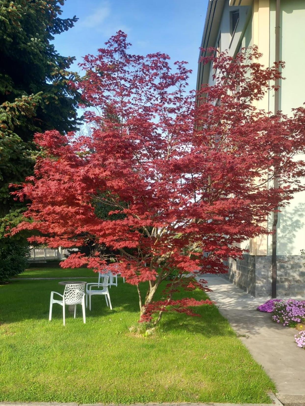 B&B Il Castagno Roccavione 外观 照片